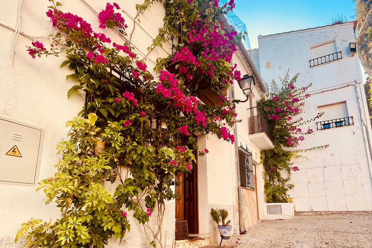 From Seville: White villages & Ronda day trip