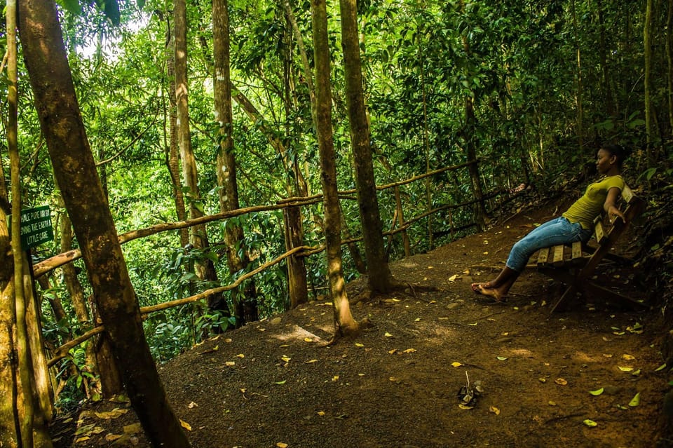 Saint Lucia Waterfall and VolcanoMud Baths Experience GetYourGuide