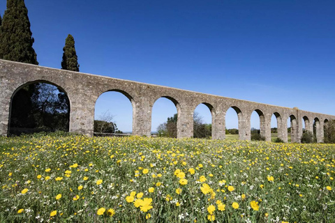 Oude stad Évora &amp; de Alentejo Privé luxe wijnreisPrivétour naar de oude stad Évora en de Alentejo met luxe wijnproeverij