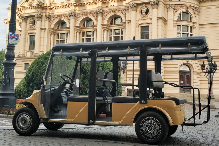 Krakau: oude binnenstad, Wawel en Wieliczka-zoutmijn met lunch