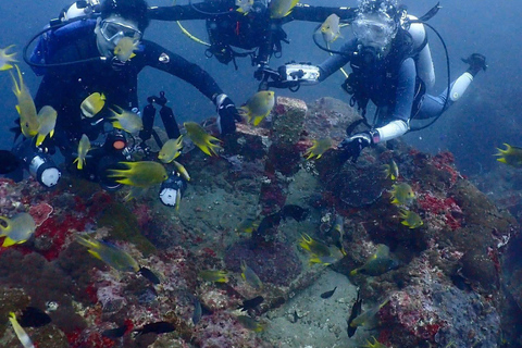 From Manila: Beginner's Scuba Diving Experience