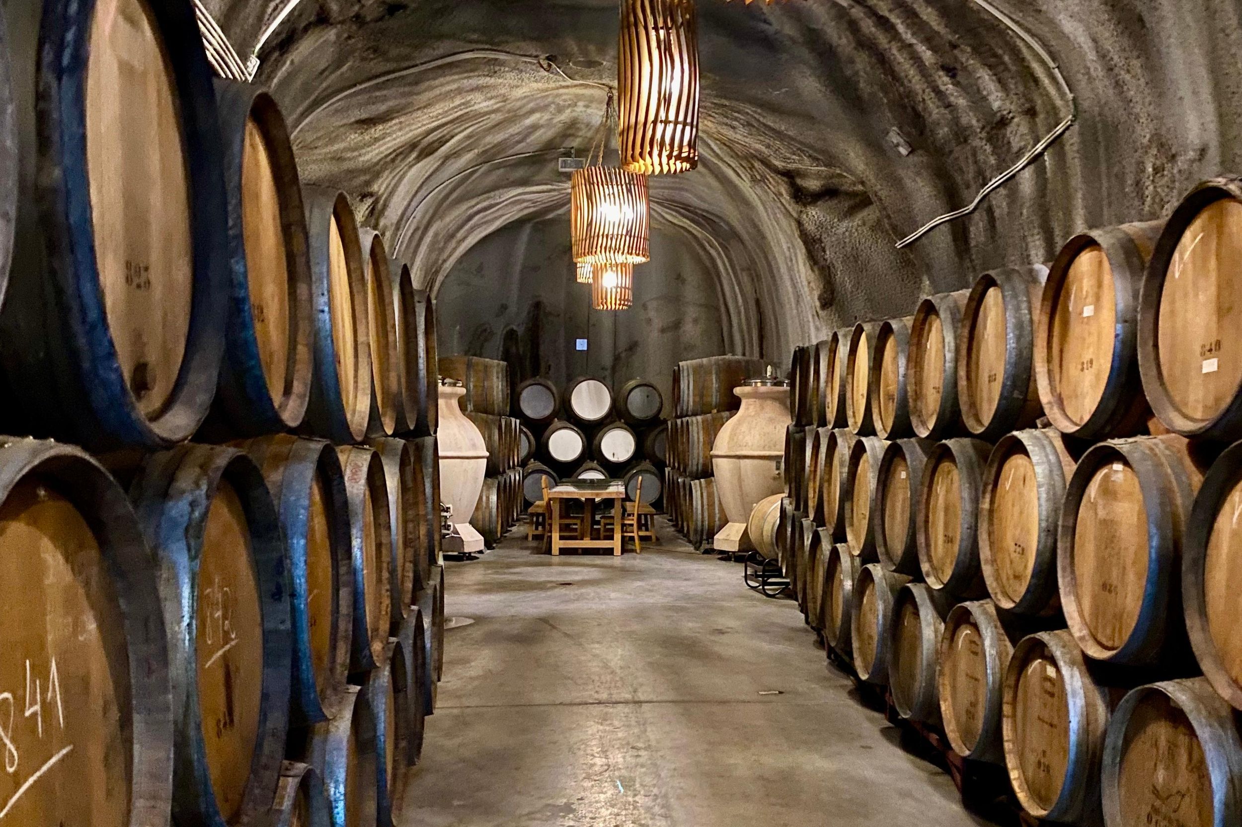 Das Beste des Douro ab Porto: Spaziergang + Besichtigung + Weinverkostung + Picknick