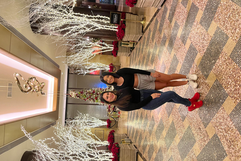 Christmas Lights Tour