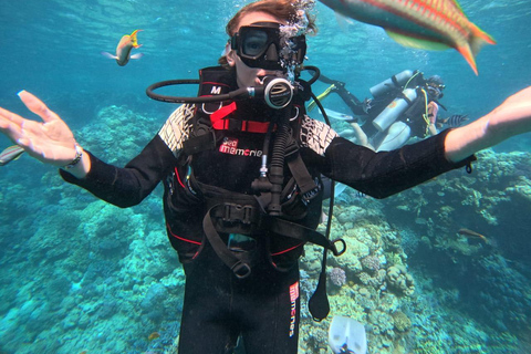 Intro Diving Beginner and Discover Red Sea Underwater (Introdução ao mergulho para iniciantes e descoberta do Mar Vermelho debaixo d&#039;água)