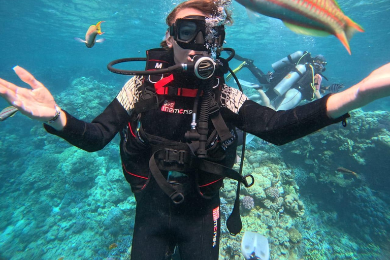 Intro Diving Débutant et découverte de la mer rouge sous l&#039;eau