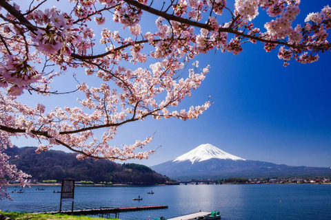 Mt Fuji Private Luxury Full-Day Tour with customization