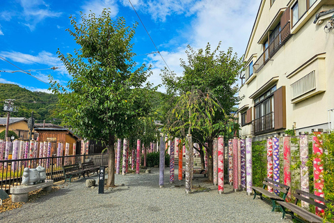 Kyoto: Tour privato di un giorno intero, personalizzabile, del Patrimonio dell&#039;UmanitàTour privato in inglese (Kyoto centrale)