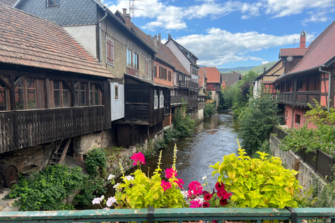 From Basel: Black Forest, Alsace & Colmar Private Day Trip
