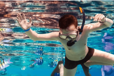 Zanzibar : Lagon Bleu, Étoiles de Mer et Tortues dans la Grotte de SalaamTransfert depuis n'importe quel hôtel à Zanzibar