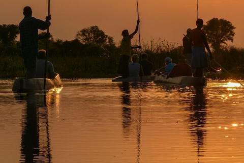 Maun: safari de 8 días por el delta del Okavango con acampada.Maun: safari de 8 días por el delta del Okavango con acampada