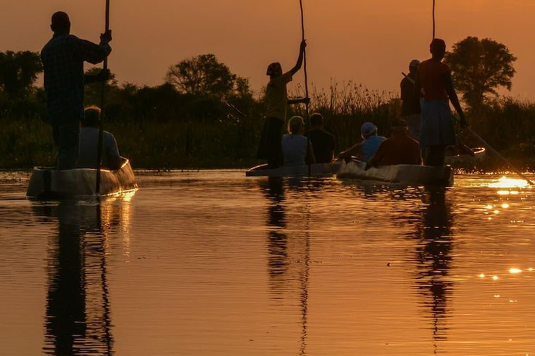 Maun: safari de 8 días por el delta del Okavango con acampada.Maun: safari de 8 días por el delta del Okavango con acampada