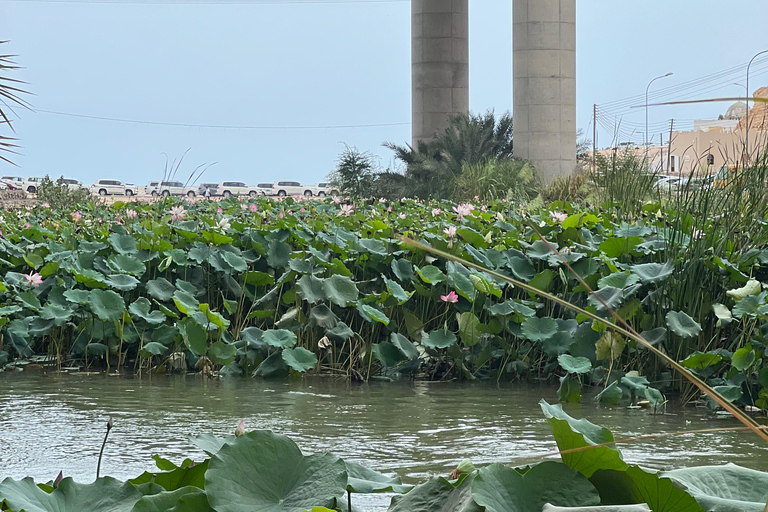 Muscat: Wadi Shab Hike and Bimmah Sinkhole Tour with Lunch Muscat: Wadi Shab Hike and Bimmah Sinkhole Tour with Lunch