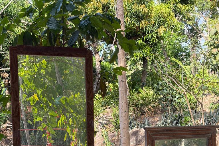 Santa Teresa Hot Springs, Fruit Tasting, & Ataco Tour