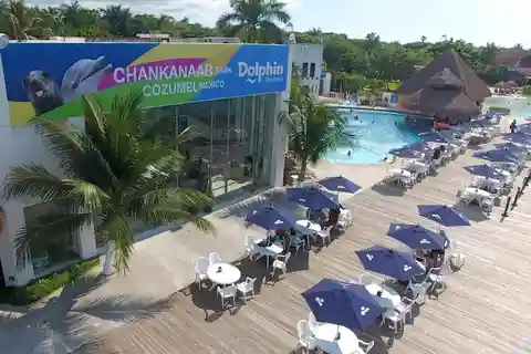 Cozumel: Passeio pelo Parque Natural Chankanaab