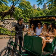 NYC: Central Park Premium Tour with Drink