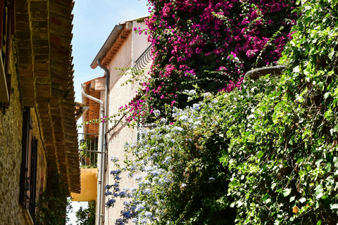 Èze: Walking Tour of Medieval Village and Exotic Garden