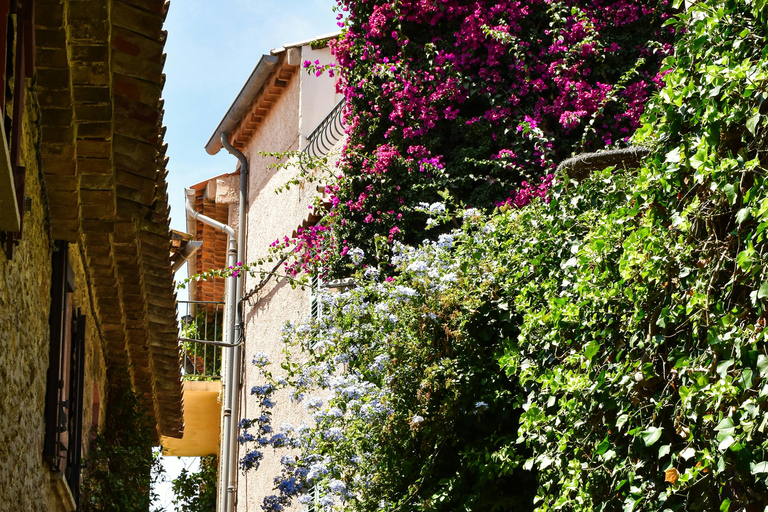 Èze: Walking Tour of Medieval Village and Exotic Garden