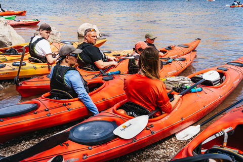 From Las Vegas: Black Canyon Half-Day Kayak Tour