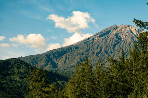 阿鲁沙：梅鲁山 4 天徒步之旅（含住宿）默认