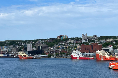 3 hour City Tour of St. John's, small group up to ten quests
