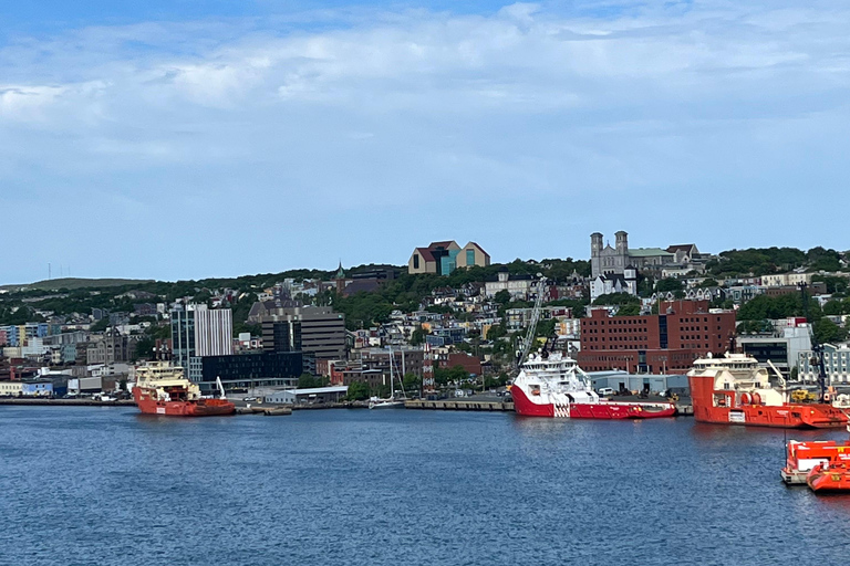 3 hour City Tour of St. John's, small group up to ten quests