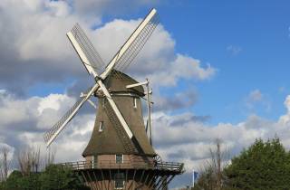 Amsterdam: Führung durch die Windmühlen
