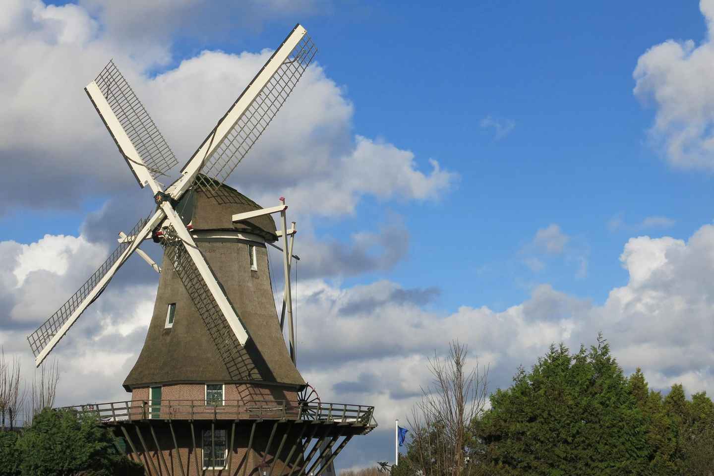 Amsterdam: Windmill Guided Tour - Amsterdam: Windmill Guided Tour