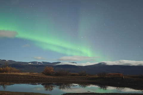Abisko: Northern Lights Hike with Husky Puppies