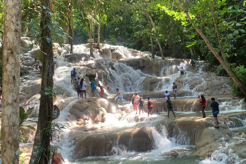 Montego Bay: Dunn's River Falls Private Excursion