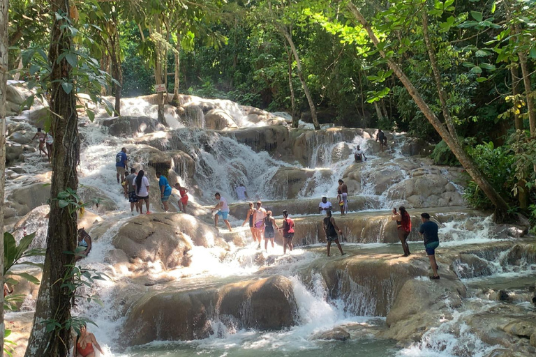 Montego Bay: Dunn's River Falls Private Excursion