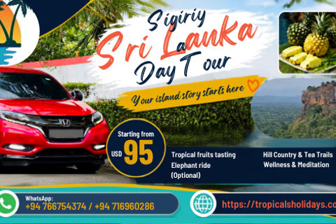 From Colombo: Sigiriya Rock Fortress Day Trip with Lunch
