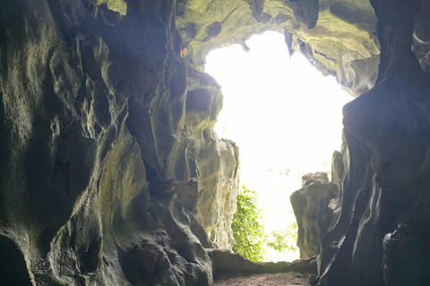 Half day Hiking Cat Ba National Park With guide