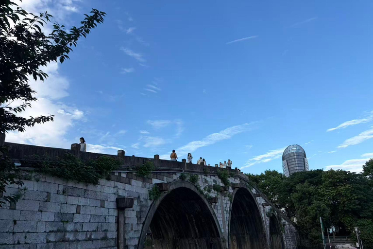 Hangzhou: Private Car Tour to Temple, Tea Village & Canal