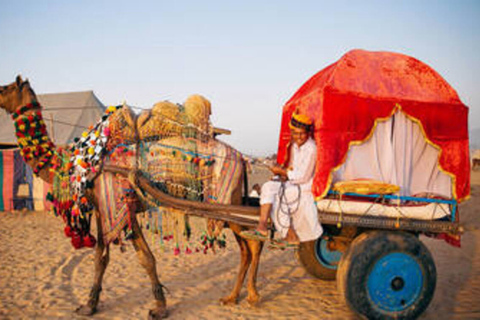 Dagtocht vanuit Pushkar zonder gids