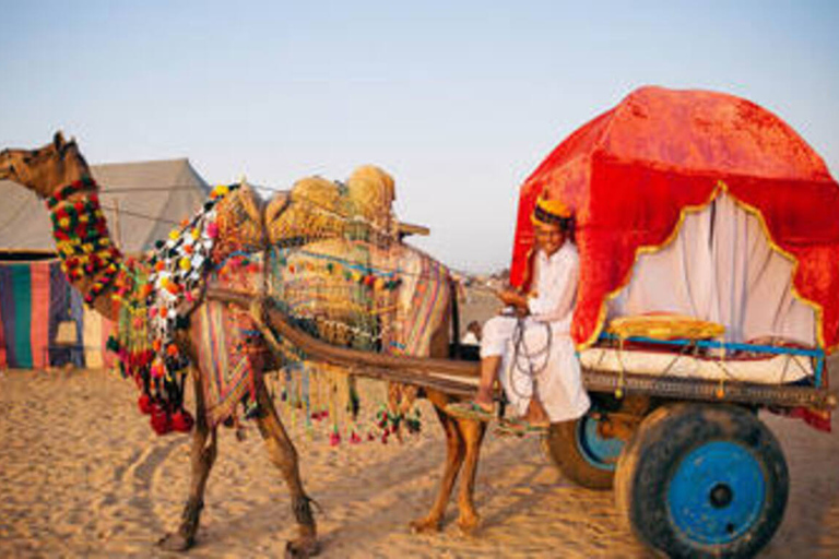 Dagtocht vanuit Pushkar zonder gids