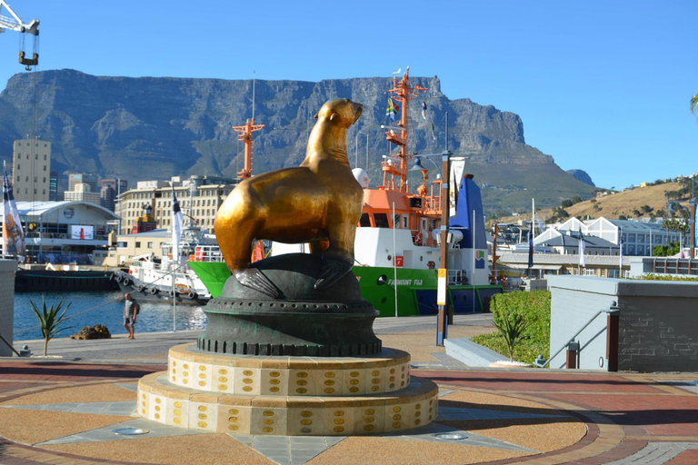Cape Town: Robben Island Ticket with Ferry & Transfers