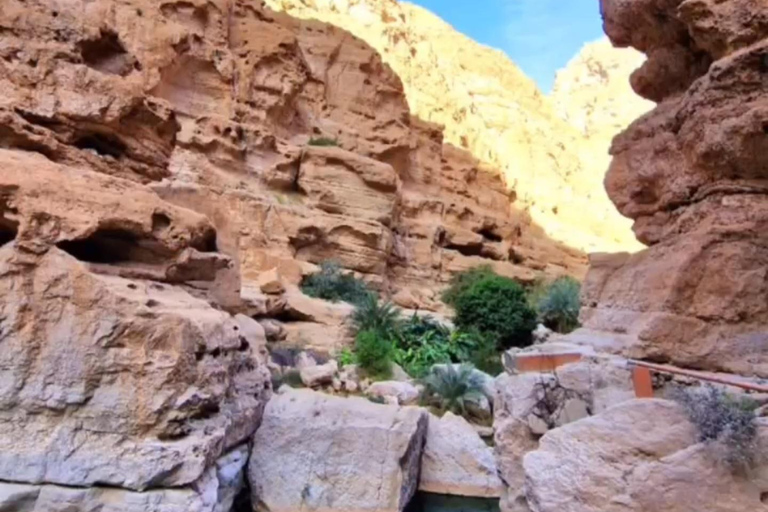 Visite du Wadi Shab