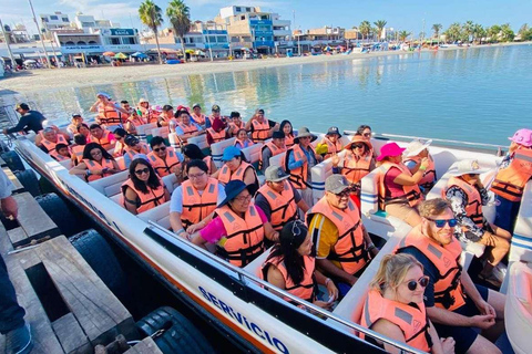 Depuis Lima : 2 jours Paracas Ica Huacachina et vignobles