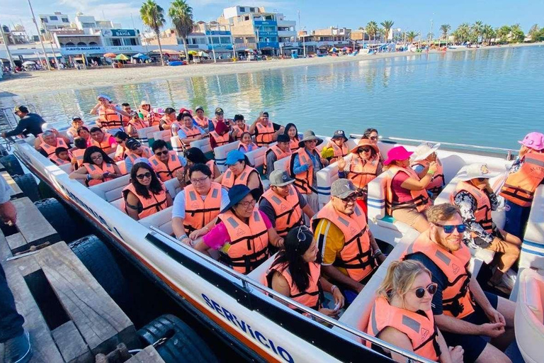 Depuis Lima : 2 jours Paracas Ica Huacachina et vignobles