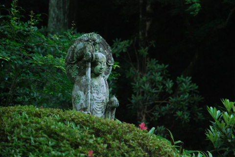 Aventura de Elite de Nikko: Tour guiado particular