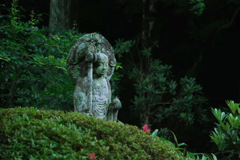 Aventura de Élite en Nikko: Tour guiado privado