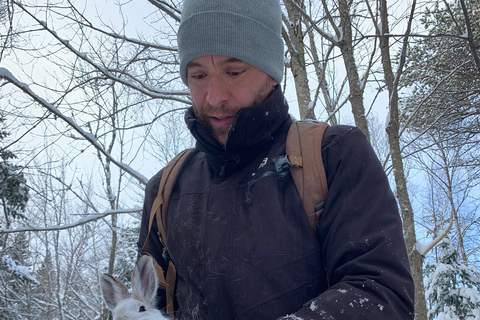 Quebec City: Guided Goat Hike & Beaver Dam Visit with Picnic