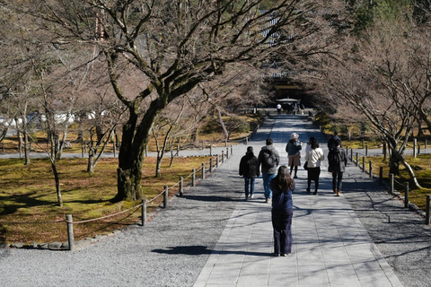 E-Bike Tour in Kyoto with Asuka, Japanese graduate student