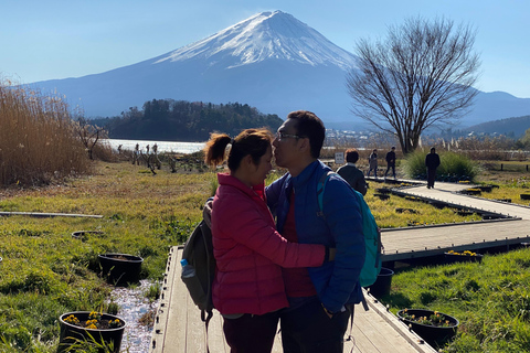 Tokyo: Mount Fuji Private Customizable Tour In Luxury Van