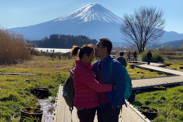 Tokyo: Mount Fuji Private Customizable Tour In Luxury Van