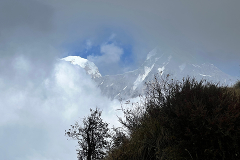 5-Day Mardi Himal Trek