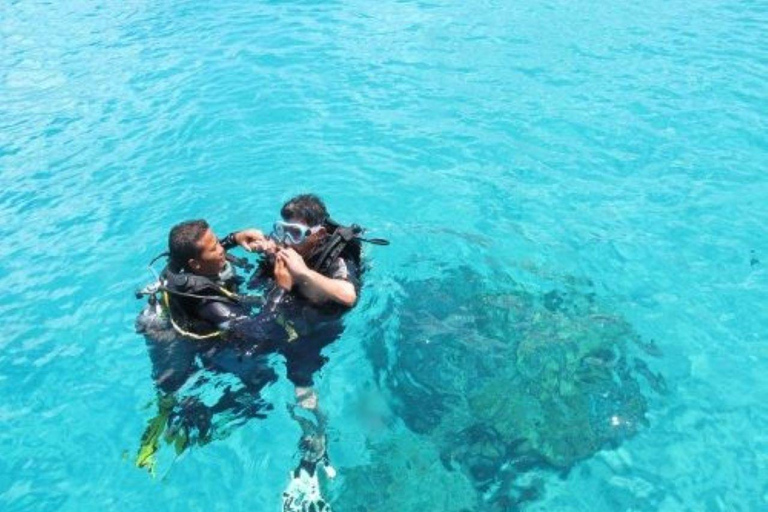 Da Nang/Hoi An: Immersione alle Isole Cham con un istruttoreDa Nang/Hoi An: Immersioni alle isole Cham con un istruttore