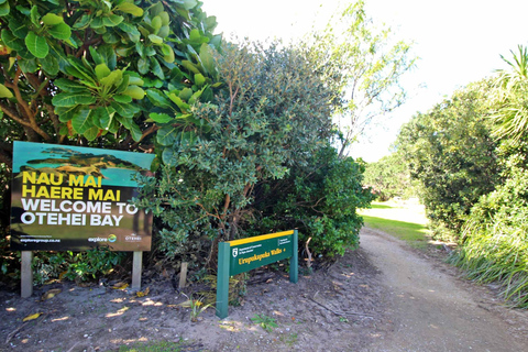 Bay of Islands: Urupukapuka Island Guided Walk Bay of Islands: Urupukapuka Island Guided Walk - Afternoon