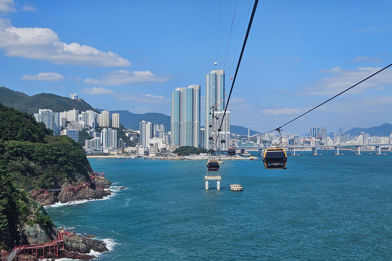 Busan: Private Tour, 3 Included Experiences & 3 Iconic Spots Private Tour | 1–3 Guests