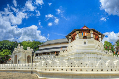 9-Day Romantic Getaway: Honeymoon Tour in Sri Lanka